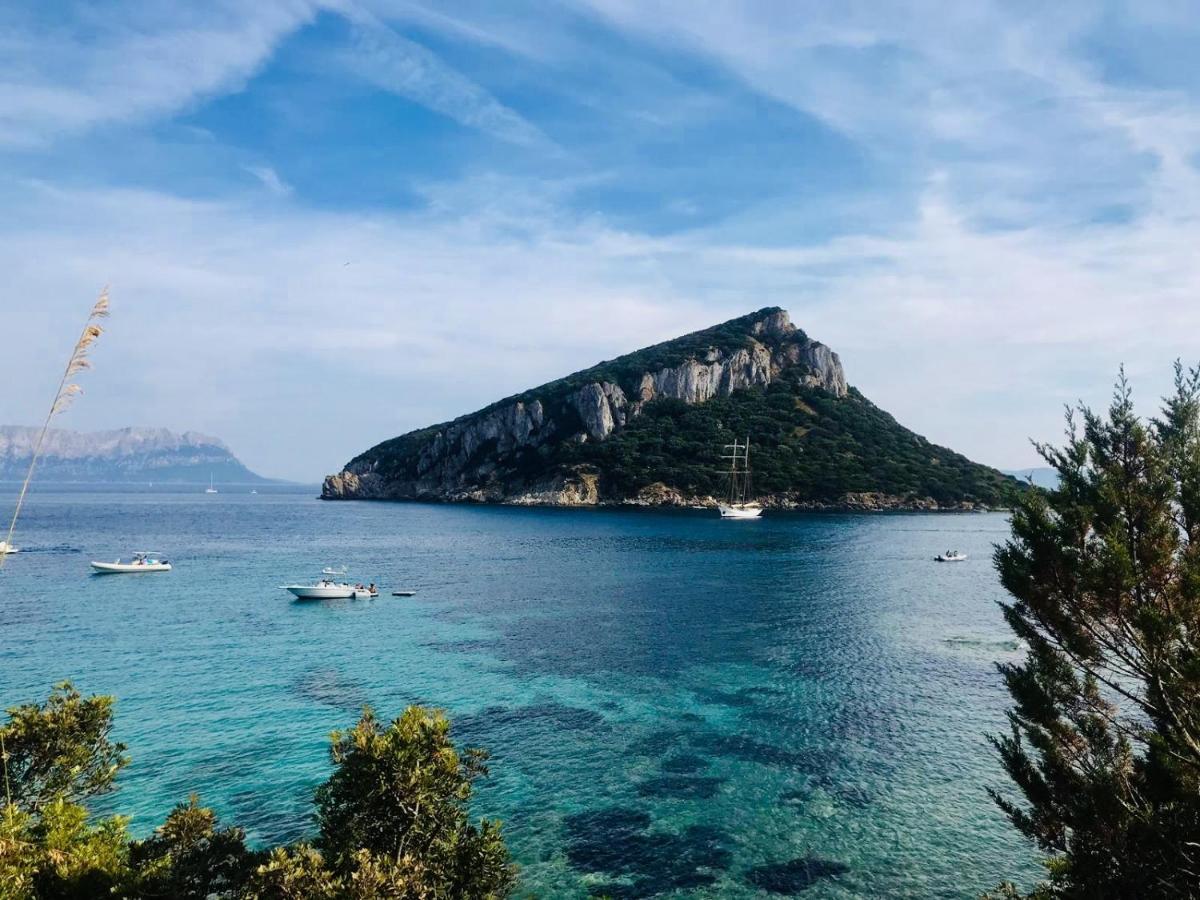 La Vecchia Posta B&B Calangianus Bagian luar foto